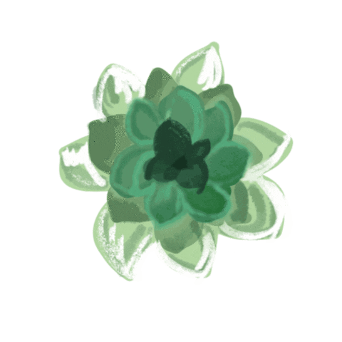 happy flower Sticker by Ivo Adventures