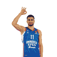 Sport Basketball Sticker by Anadolu Efes SK