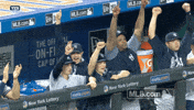 mlb hit yankees new york yankees nyy GIF