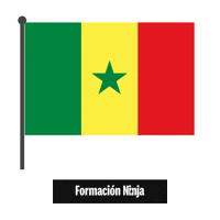Flag Bandera Sticker by Formación Ninja