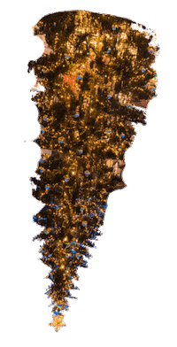 Christmas Tree City Sticker by Visit Graz