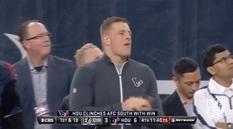 houston texans football GIF by NFL