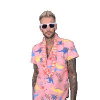 Hawaii Sticker by ELITE BAUSANIERUNG