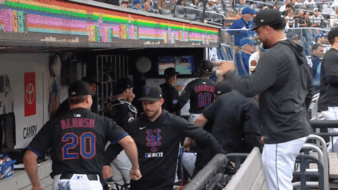 Polar Bear Dancing GIF by New York Mets