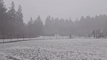 Snow and Record-Low Temperatures Hit Parts of Washington State