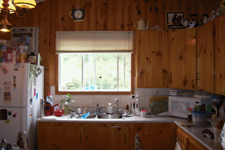 kitchen GIF
