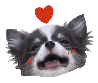 Heart Love Sticker