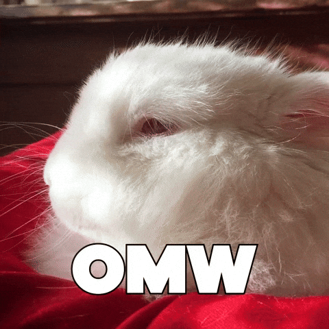 Running Late On My Way GIF by Sealed With A GIF