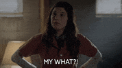 Lake Bell What GIF by ABC Network