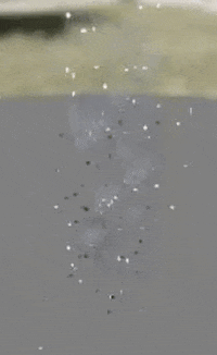 naevrah giphyupload GIF