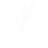istellka flower plant shape istellka Sticker