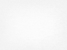mind_designstudio minddsgn GIF