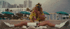 harmony korine beach GIF by NEON