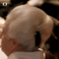 Pelisky GIF by Česká televize