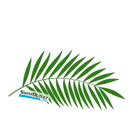 Relaxing Summer Fun Sticker by SwimOutlet
