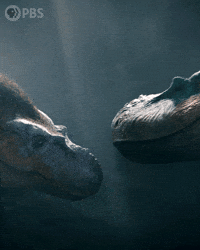 Walking With Dinosaurs Love GIF by PBS