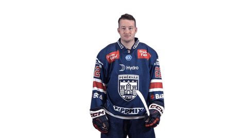 Celebration GIF by Fehervar AV19
