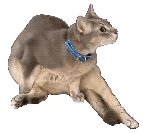 Fam 지드래곤 Sticker