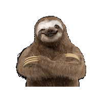 Oso Julian Sticker by Saludsa