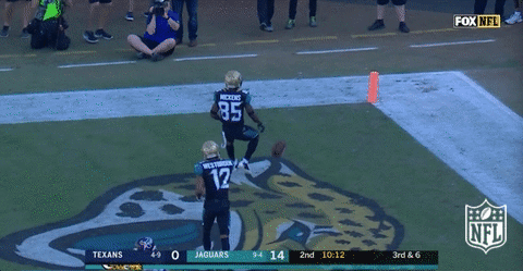 football GIF by NFL