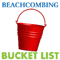 Sand Dollar Beach Sticker by Beachcombing Magazine