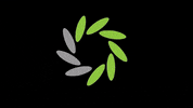 SolarCentre lighting solarcentre solar centre solar lighting GIF