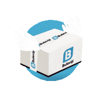 bulevip bule bulevip bluevip Sticker