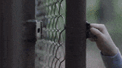 TheAvenue_Film friends florida tiger best friends GIF