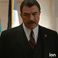 Blue Bloods Ok GIF by ION
