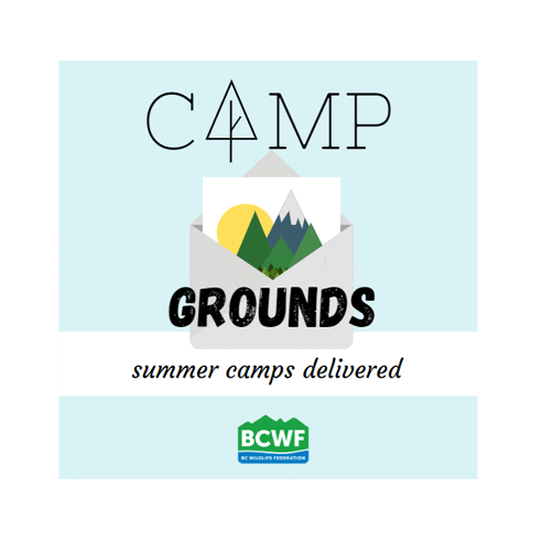 bcwfyouth summer camp campgrounds bcwf bc wildlife federation Sticker