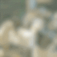 473Music GIF by Santa Fe Klan