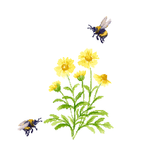Summer Flower Sticker by compo