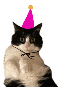 Party Cat Sticker