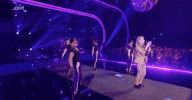 steracteur sterartiest GIF by vrt