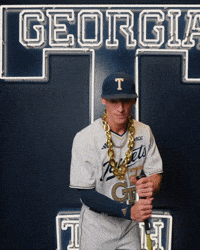 Georgia Tech Baseball GIF by Georgia Tech Yellow Jackets