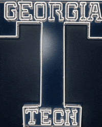 Georgia Tech Baseball GIF by Georgia Tech Yellow Jackets