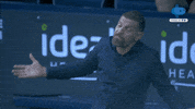 Leicester Ligainggris GIF by MolaTV