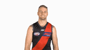 essendonfc jake dons bombers essendon GIF