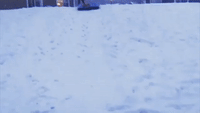 Shiba Inu Rides Down Hill on Air Mattress After Major DC Snowfall