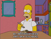 homer simpson GIF