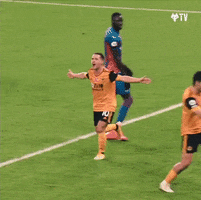 Premier League Football GIF by Wolves