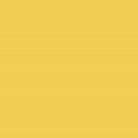 girl supportyourlocalgirlgang GIF by GirlGang