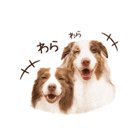 lillieandgarcello dog w 犬 笑 Sticker