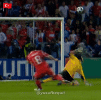 Euro Cup Turkey GIF