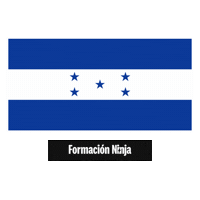 Flag Pixel Art Sticker by Formación Ninja