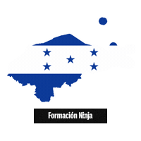 Flag Bandera Sticker by Formación Ninja