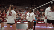 Ncaa Volleyball GIF by Arkansas Razorbacks
