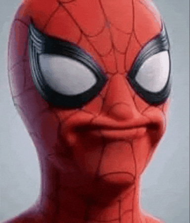 Spider Man Wtf GIF