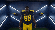 Go Blue College Football GIF by Michigan Athletics