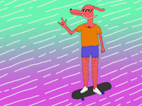 dog summer GIF